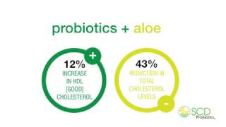 Pros of Probiotics [upl. by Hall]