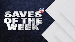 ECHL Saves of Week 3 [upl. by Walworth]