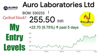 Auro Labs Stock Analysis 🔍  Entry Levels amp LongTerm View on this API Manufacturer  हिंदी में [upl. by Nosreffej]