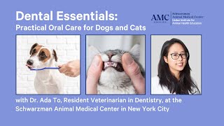 Dental Essentials Practical Oral Care for Dogs and Cats [upl. by Latonia]