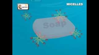 Soap Micelles Formation  Science [upl. by Rovelli]