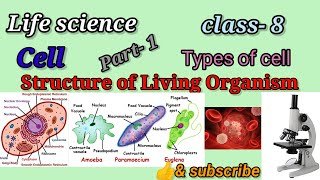 WB class 8 Life science  Biology  ch 1 Structure of living organisms part 1 [upl. by Osbourne]