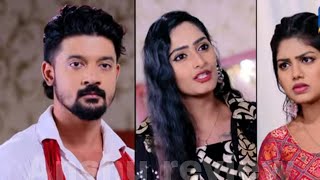 Mo Sindurara Adhikara odia serial best part 1359  Blog 219 Tarang tv AnshuReviewj1v [upl. by Richela]