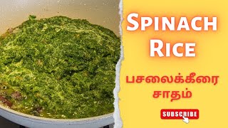 சத்தான லஞ்ச் பாக்ஸ் ரெசிப்பி பசலைக்கீரை சாதம் Healthy Lunch Box Recipe Spinach Rice Palak Rice [upl. by Anceline]