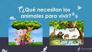 ANIMALES DE LA GRANJA para Niños Sonidos y Nombres en Español [upl. by Dorrej]