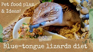 The Bluetongue lizards diet What to feed your pet lizard [upl. by Steffy]