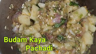 BudamKayaదోసకాయ Pachadi Recipe food pachadi indianfood videos [upl. by Brittne]