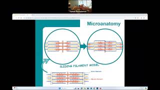 CG  BIO160  Introduction to Skeletal Muscles [upl. by Eentirb]