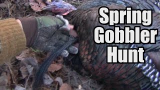 Spring Gobbler Hunt 2015  Toth [upl. by Birkle]