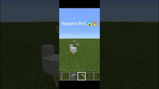 Respect Bird 🔥 minecraft shorts [upl. by Van]