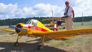 LET Z37A ČMELÁK  RC MODEL SCALE AIRPLANE DEMO FLIGHT  Flugfest Damelang 2017 [upl. by Hajidahk937]