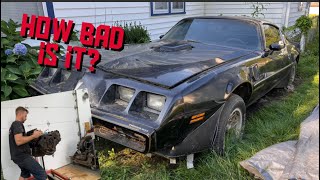 79 Trans Am Engine Tear Down What Did I Find [upl. by Lissak]