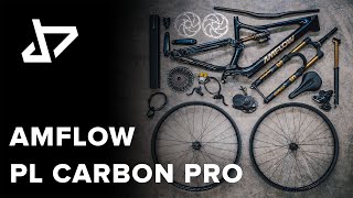 DREAM BUILD EMTB  AMFLOW PL Carbon PRO [upl. by Aniri]