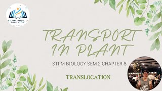 STPM BIOLOGY SEM 2 CHAPTER 82 TRANSPORT IN PLANT  PART 8 LAST TRANSLOCATION halobudyleezhixuan [upl. by Negeam]