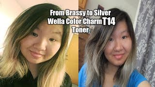 Brassy to Silver Hair Using Wella Color Charm T14 Toner [upl. by Galitea441]