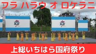 【フラ ハラウ オ ロケラニ】【上総いちはら国府祭り】 [upl. by Etep242]