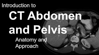 Introduction to CT Abdomen and Pelvis Anatomy and Approach [upl. by Sidnarb645]