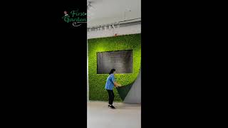 Preserved moss wall behind reception desk firstgarden interiorplantdesign walldecor [upl. by Adliw]