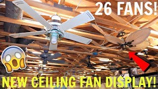 New Ceiling Fan Display  My Biggest Display EVER [upl. by Isbella]