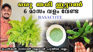 ഒരു തരി ഇട്ടാൽ ആറ് മാസം വളം വേണ്ട  Basacote Fertilizer  ECOON PLPLANTS [upl. by Einnahc]