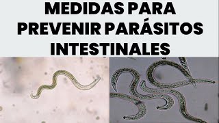 Guía de Prevención Medidas Efectivas contra Parásitos Intestinales [upl. by Araj580]