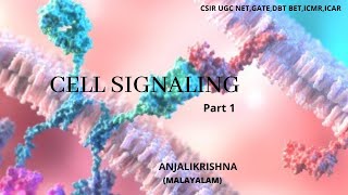 Cell signaling basicsPart 1 [upl. by Salocin]