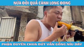 THEO BÀ RA VƯỜN BẺ NGÔ NƯỚNG ĂN [upl. by Nnahsal]