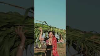 Gujarati Traditional Prewedding on maru gujarat song of Harsh❤️Drashti marugujarat prewedding [upl. by Gideon]