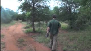 Gemsbok Bow Hunt with Sofala Safaris Professional Hunter Louis Steenkamp [upl. by Alyce113]