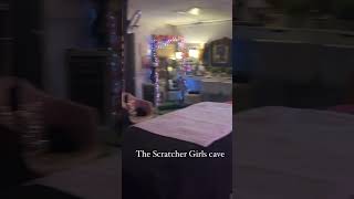 The Scratch Cave asmr scratchtoscratch asmrvideos scratch asmrtriggers backscratching relax [upl. by Anibas]