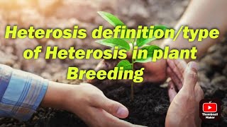 Heterosis heterosis types in plant breedingimportant of heterosis [upl. by Neom]