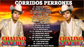 CHALINO SÁNCHEZ MIX LOS MAS ESCUCHADOS 🔥 MIX CORRIDOS PERRONES 🔥 GRANDES EXITOS DE CHALINO SÁNCHEZ [upl. by Srednas]