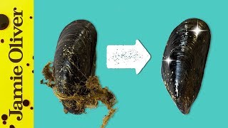 How To Prepare Mussels  1 Minute Tips  Bart’s Fish Tales [upl. by Shanley]