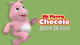 MI PERRO CHOCOLO  CANCIONES INFANTILES  PNCHO EL CHANCHO EN VIVO [upl. by Hgielime]