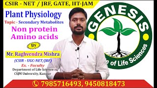 Non Proteine Amino Acids Secondary Metabolites CSIR NETJRF  GATE  Life science  ICMR [upl. by Etteuqal]