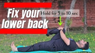 lower back pain exercises [upl. by Assil283]