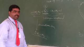 Alkylating agents MOA and SAR [upl. by Netnerb]