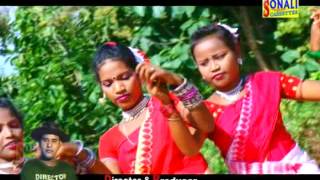 purulia jhargram pata naach video 2015পাতা নাচ পরে জনমে হবো রাধা [upl. by Nnylyar]