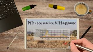 Fotosynthese Pflanzen machen Mittagspause  Teil 1 von 2 [upl. by Llirrem]