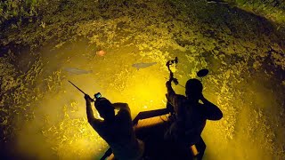 Bowfishing Giant Schools of Spawning Carp Blowgun Fishing [upl. by Notgnilra]