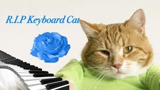 RIP Keyboard Cat [upl. by Nwahser]