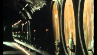 Vintage A History of Wine Pt4 [upl. by Arndt]