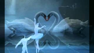 ♥ Ƹ̵̡Ӝ̵̨̄Ʒ ♥ Swan lake David Garrett violin ♥ Ƹ̵̡Ӝ̵̨̄Ʒ ♥ [upl. by Yreffej750]