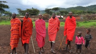 Learning how to dance Masai Mara I Kenya I Africa I [upl. by Tneciv]