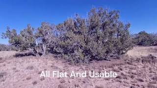 465 Ac Tree Filled Lot  Fronts 1 Square Mile Of Protected Land  SEE VIDEO [upl. by Matazzoni425]