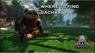 ARK FJORDUR  Where to find Gachas  Quick guide [upl. by Etselec]