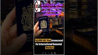 یو۔کے نے ویزوں کی بارش کر دی uk ukvisa ukvisaupdates ukvisaaccepted [upl. by Neeleuqcaj]