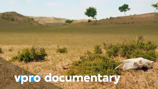 Inner Mongolia and the impact of desertification  VPRO Documentary [upl. by Robillard894]