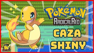 ✨DIRECTO BUSCANDO A CHARMANDER SHINY EN POKÉMON RADICAL RED  Gran Autor [upl. by Jenne392]