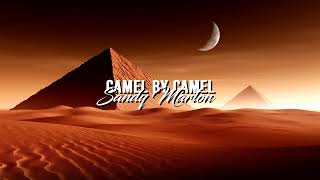 Sandy Marton  Camel by Camel Slowed [upl. by Lalat859]